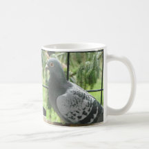 Pombo Perfeito