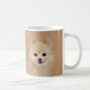 Caneca De Café Pomeranian enfrenta