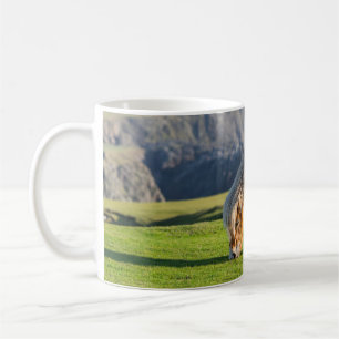 Caneca De Café Pône Shetland em Pastagem Perto de Falésias Altas