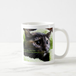 Caneca De Café Por Favor, Salve Seu Gato Para Evitar Gatinhos Ind