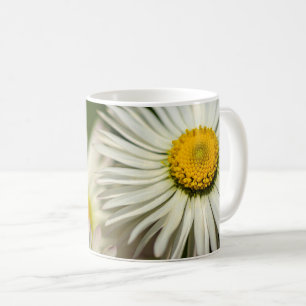 Caneca De Café Poster Margaridas Flores Floral Fotografia Naturez