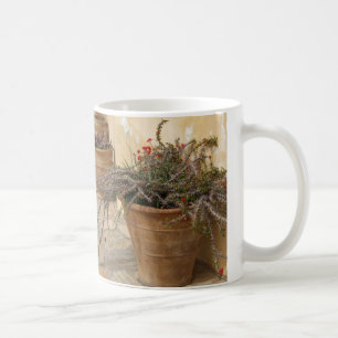 Caneca De Café Potes de plantas de cactos mediterrânicos russos