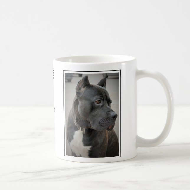 Caneca De Café Presa Canario Cerâmica Mug (Direita)