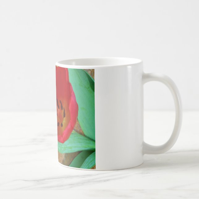 Caneca De Café Primavera amarelo e Red Tulip (Direita)