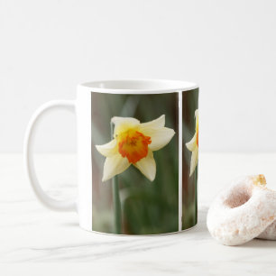 Caneca De Café Primavera Orange Daffodil Mug