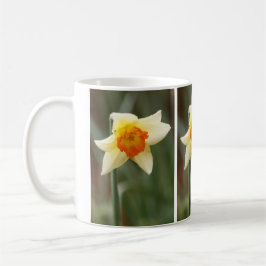 Caneca De Café Primavera Orange Daffodil Mug