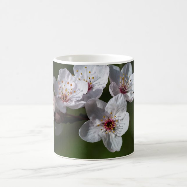Caneca De Café Primavera plum blossomes (Centro)