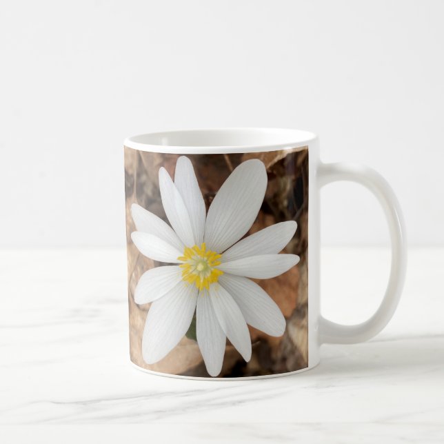 Caneca De Café Primavera White Flower Photo Mug (Direita)