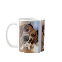 Puppy Dog Lover 3 Fotografias Personalizadas