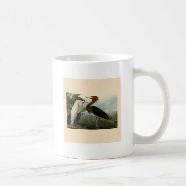 Caneca De Café Púrpura Heron Audubon Bird Willife Painting (Direita)