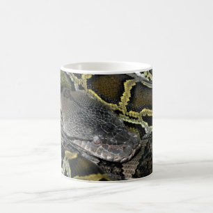 Caneca De Café Python molurus bivittatus