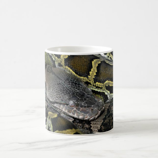 Caneca De Café Python molurus bivittatus (Centro)