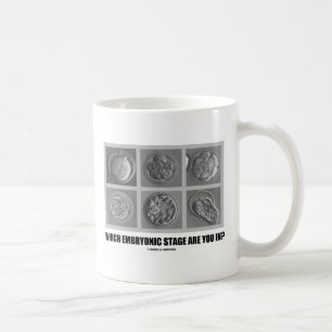 Caneca De Café Que palco embrionário está você dentro? (Embri