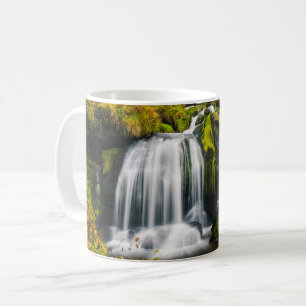 Caneca De Café Quedas   Triberg Waterfall, Alemanha