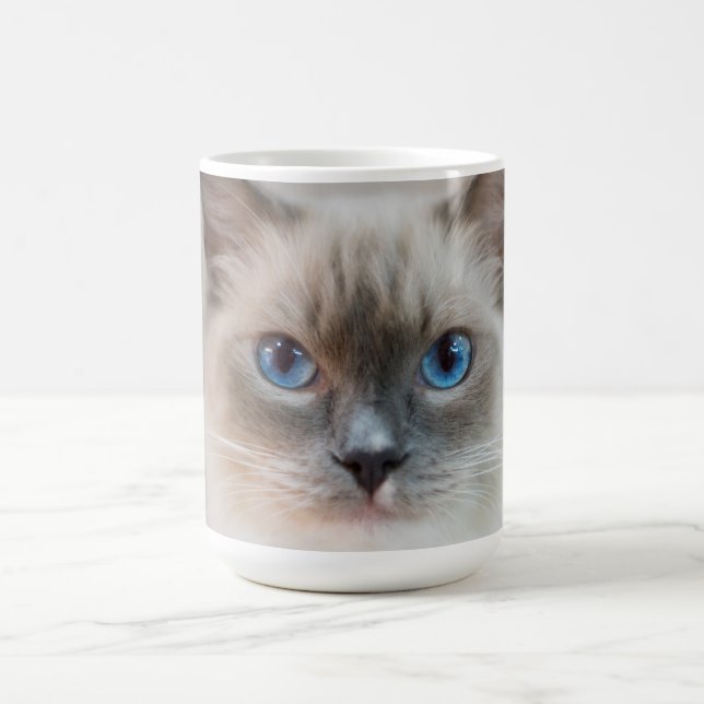 Caneca De Café Ragdolé ‎ Gato Azul (Centro)