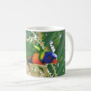Caneca De Café Rainbow Lorikeet Green - Foto de pássaro australia