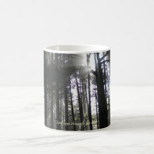 Caneca De Café Raios de Sun através das árvores