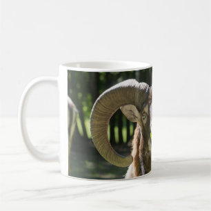 Caneca De Café Ram de Mouflon