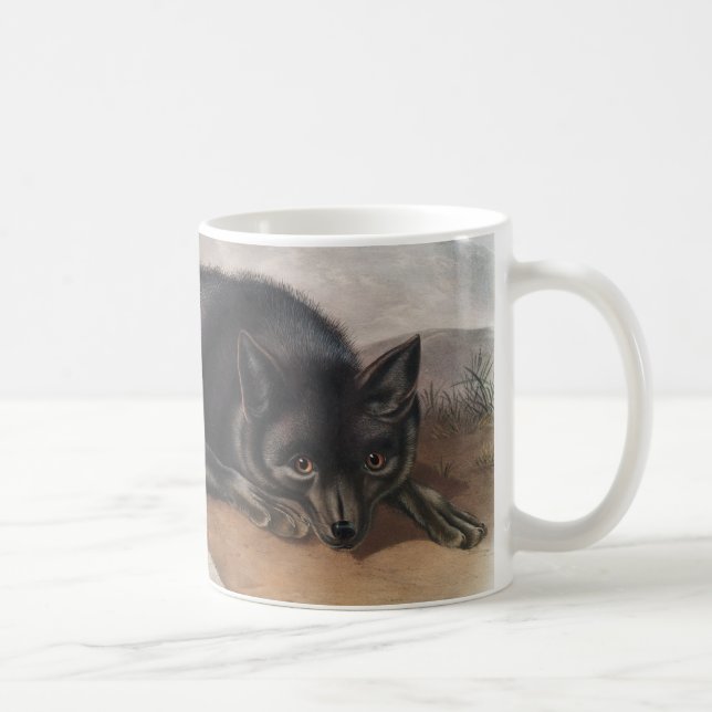 Caneca De Café Raposa Negra Americana ou Prateada (Vulpes fulvus) (Direita)