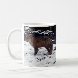 Caneca De Café Raposa Vermelha Inverno Neve Floresta Fotografia d