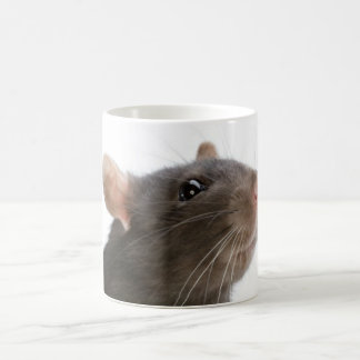 Caneca De Café Ratos!