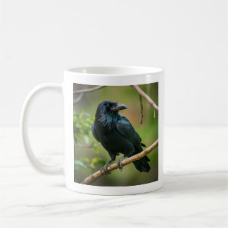 Caneca De Café Raven em uma ramificação de árvore