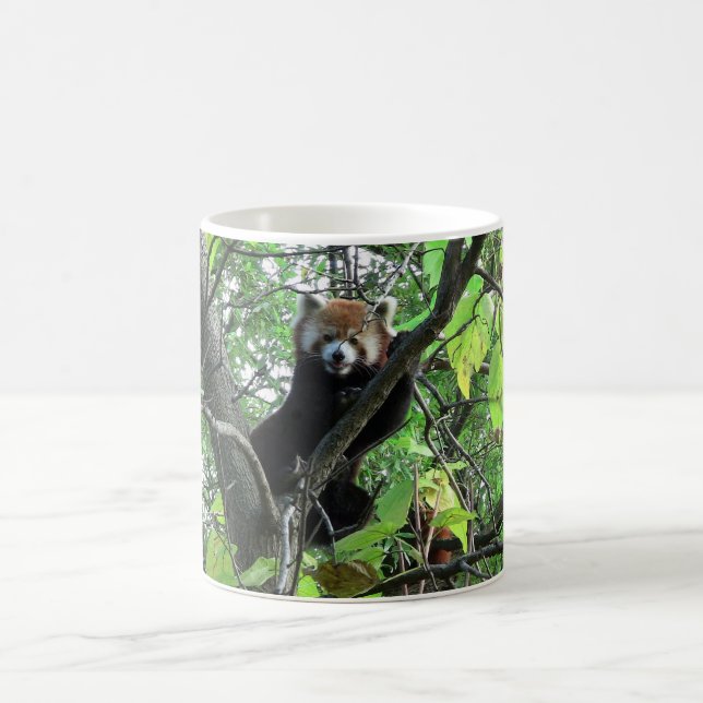 Caneca De Café Red Panda (Centro)