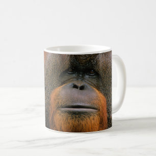 Caneca De Café Retrato de Orangutango Macho, Geórgia, EUA