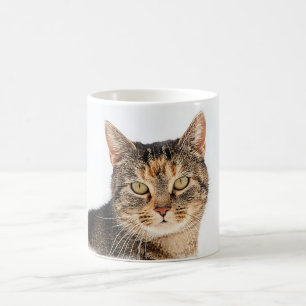Caneca De Café Retrato de um gato