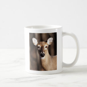 Caneca De Café Retrato de uma Corça de Cauda Branca de Vida Selva