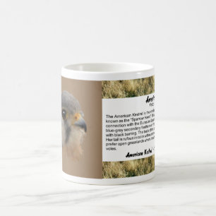 Caneca De Café Retrato Kestrel Americano