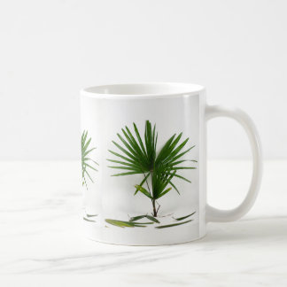 Caneca De Café Rhapis Excelsa (Palmeira-Lady) Recém-Colhida
