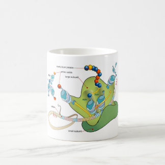 Caneca De Café Ribosome mRNA tRNA molecules proteins Diagram 