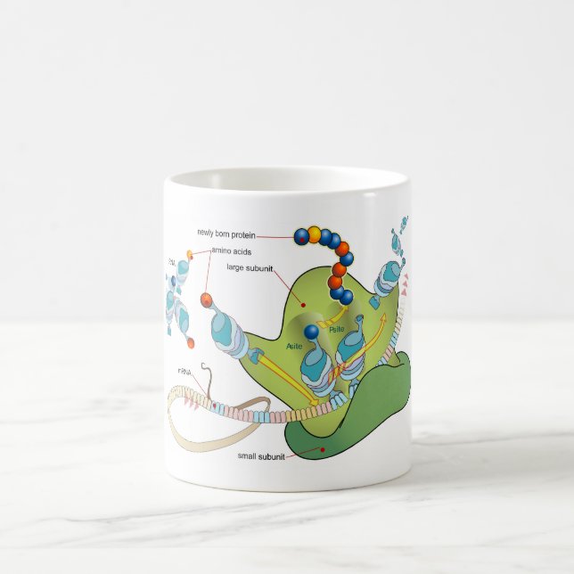 Caneca De Café Ribosome mRNA tRNA molecules proteins Diagram  (Centro)