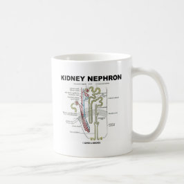 Caneca De Café Rim Nephron