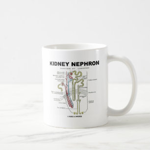 Caneca De Café Rim Nephron