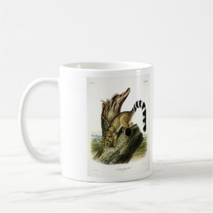 Caneca De Café Ringtail (Bassaris de Anel, Gato de Anel)