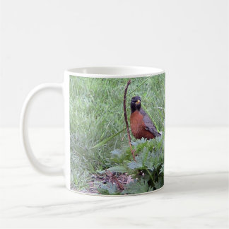 Caneca De Café Robin Americano (Homem) Mug