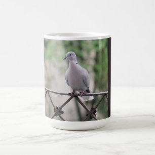 Caneca De Café Rola Branca Fofa Pombo Símbolo de Amor & Paz Passa