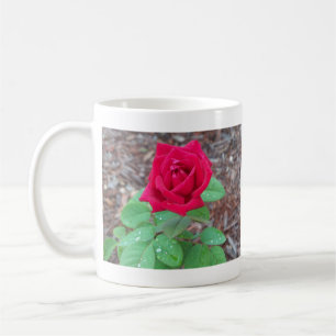 Caneca De Café Rosa vermelha