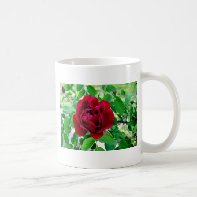 Caneca De Café Rosa vermelha com Bud (Direita)