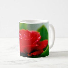 Caneca De Café Rosa vermelha de manhã coberta com gotas de orvalh