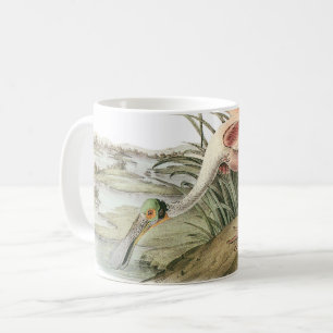 Caneca De Café Roseate Spoonbill