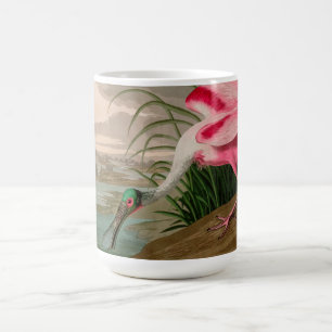 Caneca De Café Roseate Spoonbill Birds, Impressão da América Au