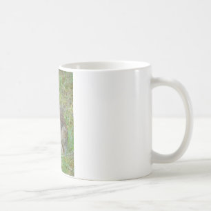 Caneca De Café Roupas e Presentes do Coelho Selvagem do Leste