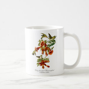 caneca de café Rubi-throated do colibri