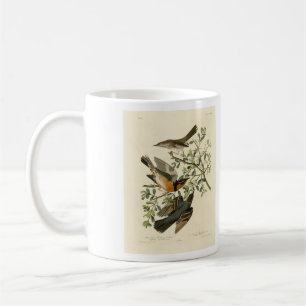 Caneca De Café Sage Thrasher e Varied Thrush, Aves de Audubon