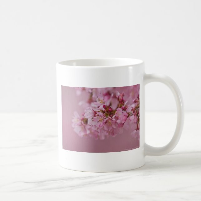 Caneca De Café Sakura Cherry Blossoms Rosa Pálido Reflexões (Direita)
