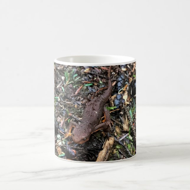 Caneca De Café Salamander in the Forest, Washington (Centro)