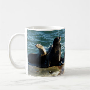 Caneca De Café San Diego Sea Lions